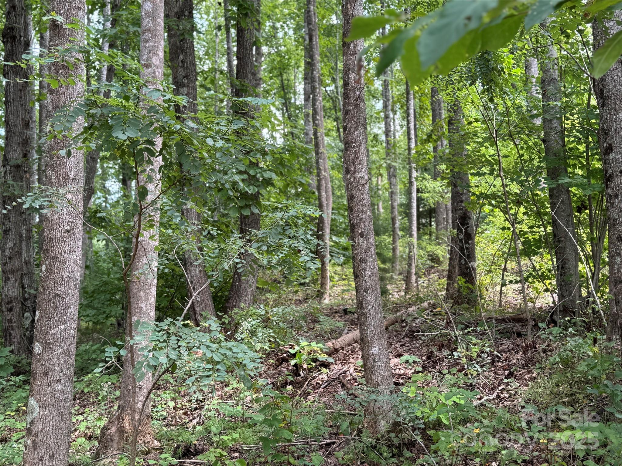 2.01 acres, Lot 971 Soaring Top Lane 971