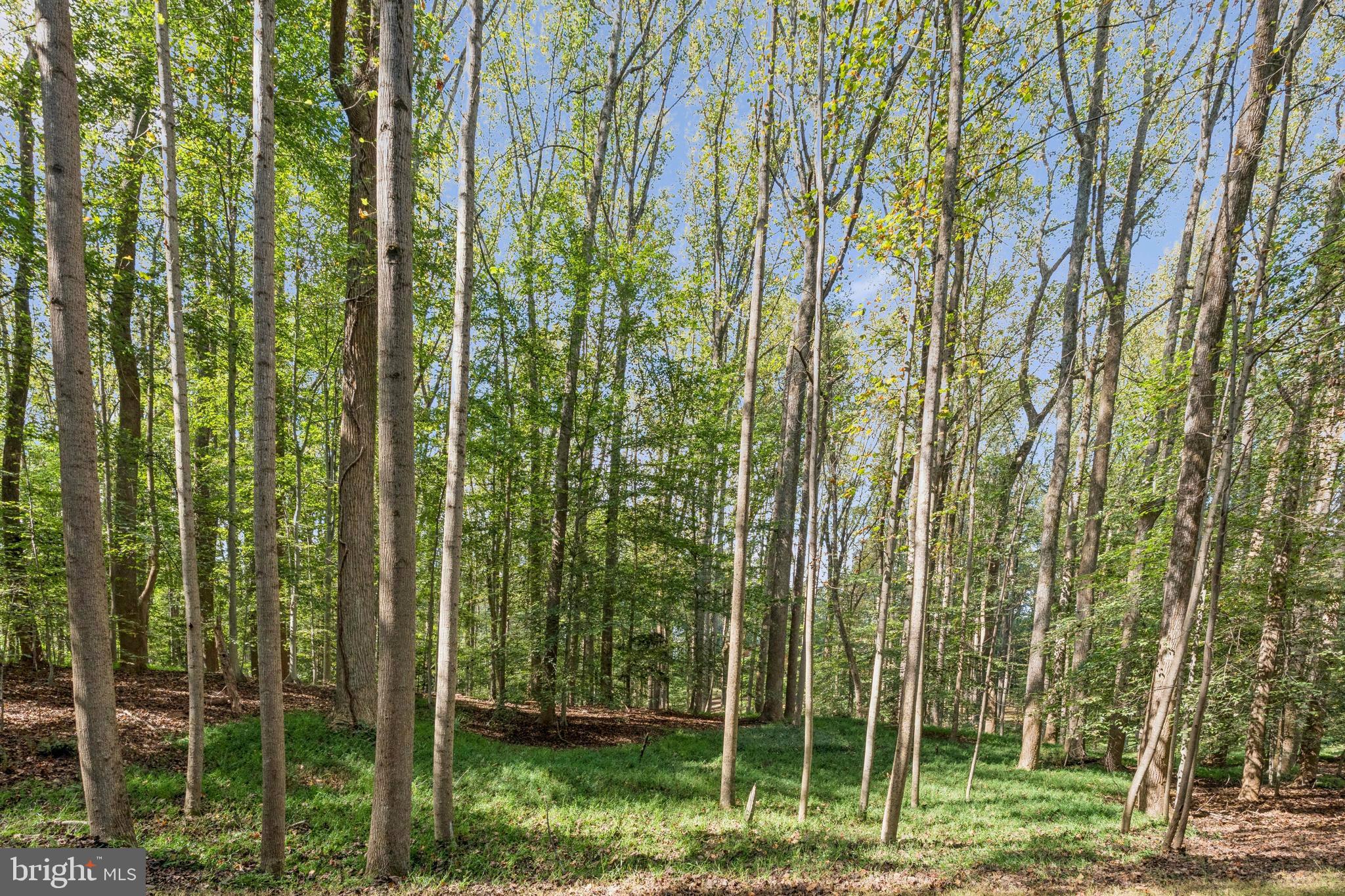 Discover an extraordinary opportunity to build your dream home at 258 Jeffery Lane, nestled in the prestigious enclave of Great Falls, VA. This remarkable 2.4-acre lot offers an expansive 104,492 square feet of potential, presenting a blank slate for visionary homeowners. The property’s wooded surroundings and its secluded cul-de-sac location lend it a sense of exclusivity and tranquility that's hard to find.Strategically positioned near the majestic Potomac River, this location provides not only serene natural beauty but also convenient proximity to Great Falls Village. For those with a penchant for leisure and recreation, Riverbend Country Club is just a stone’s throw away, promising effortless access to golf and social engagements.With its Residential Estate zoning, this parcel invites you to craft a bespoke residence that perfectly suits your lifestyle. The level terrain facilitates a seamless building process, allowing your architectural aspirations to come to life with ease. While utilities such as water and septic systems will need to be installed, the investment promises unparalleled rewards.Seize this rare chance to cultivate a private haven amidst one of Virginia’s most coveted locales, where sophistication meets nature’s splendor. Contact Compass today for an exclusive viewing and begin the journey to your dream estate.