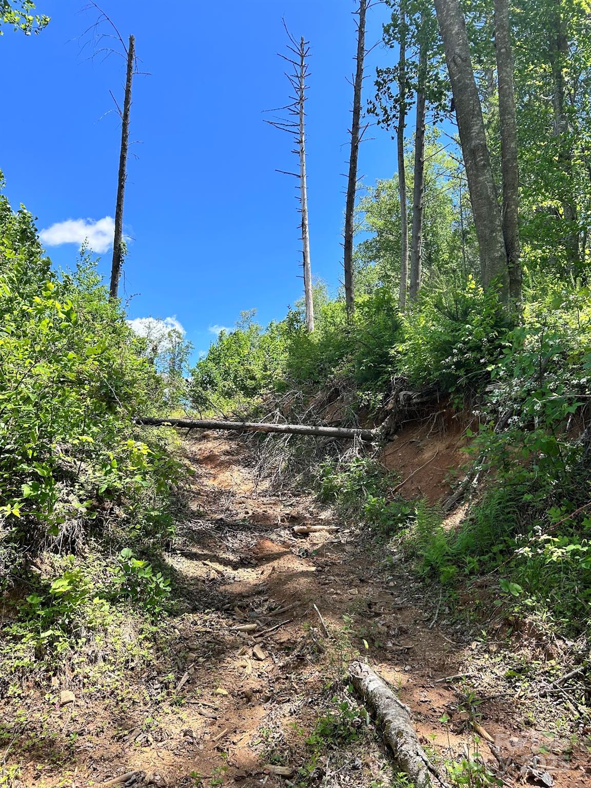 611 Johnson Hollow Road