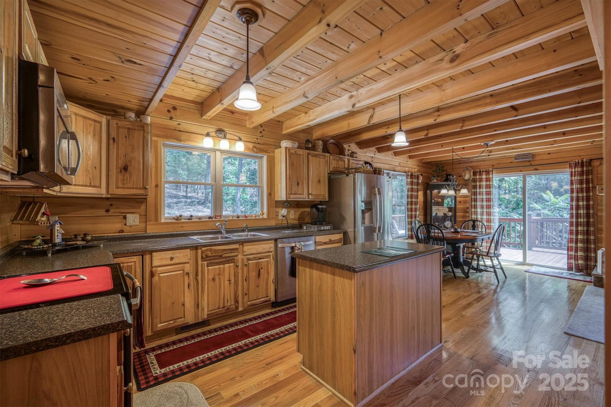 203 Mountain Vista Drive