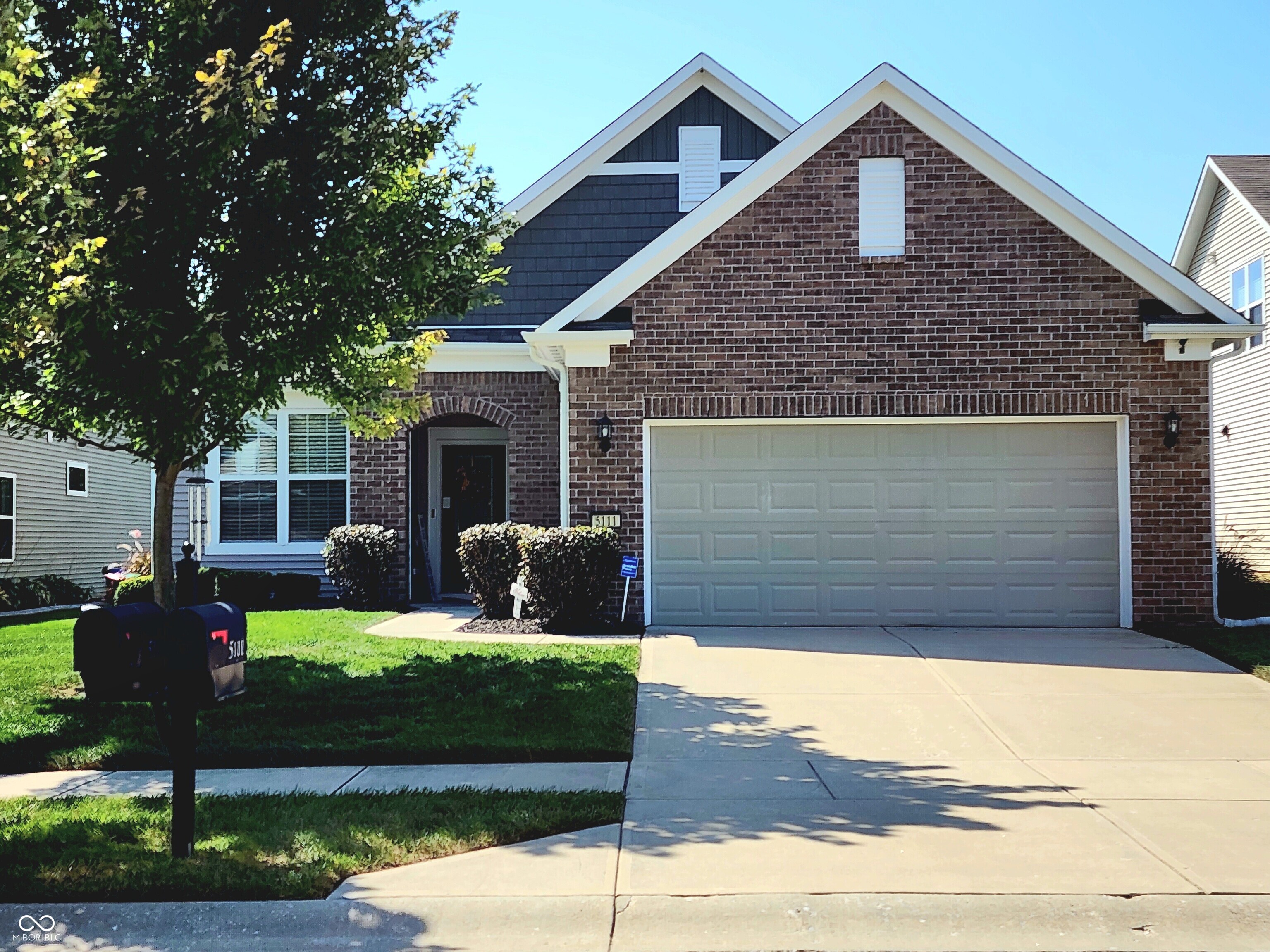 5111 Silverbell