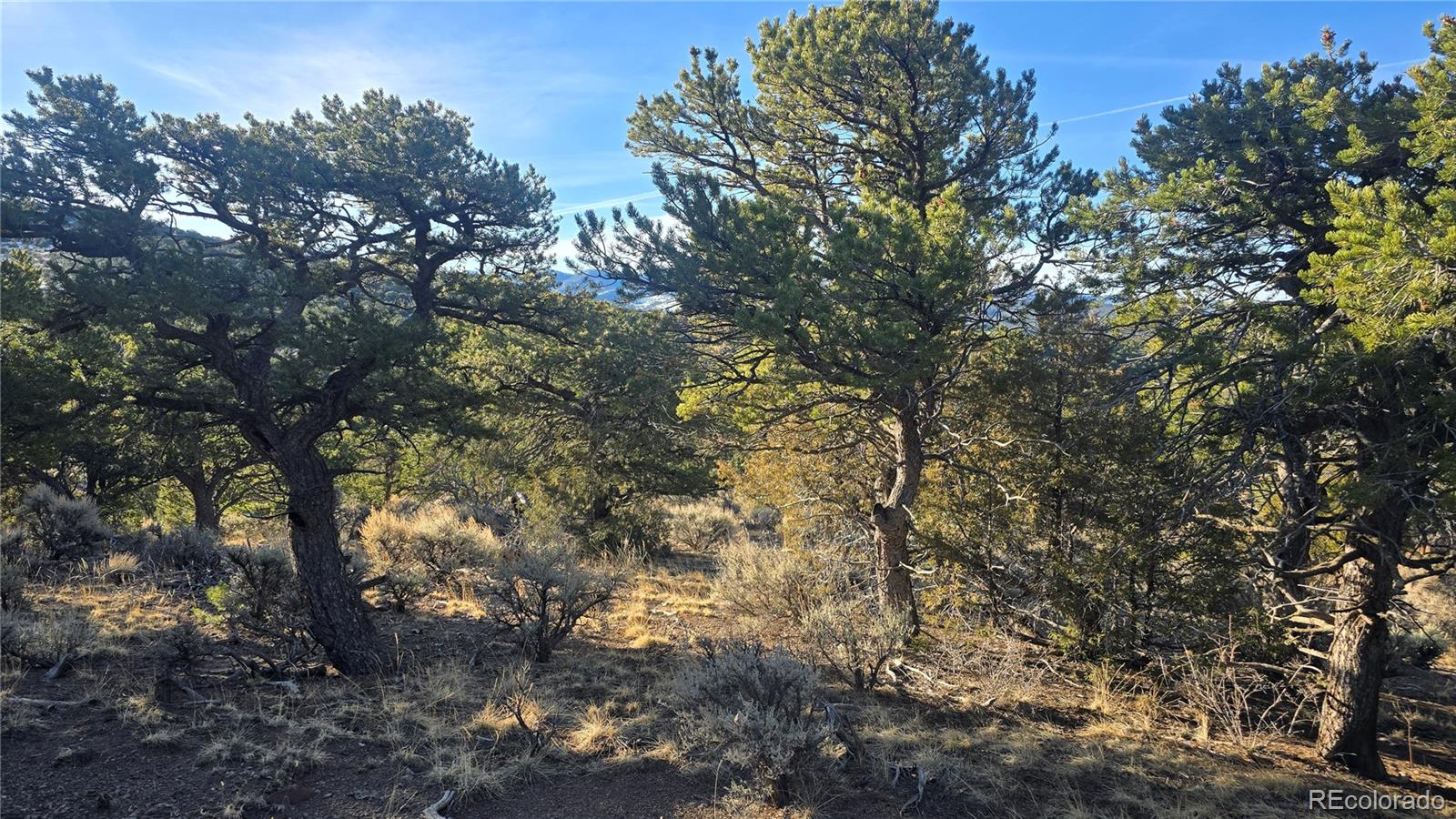 Lot 4582 Laidlaw Road