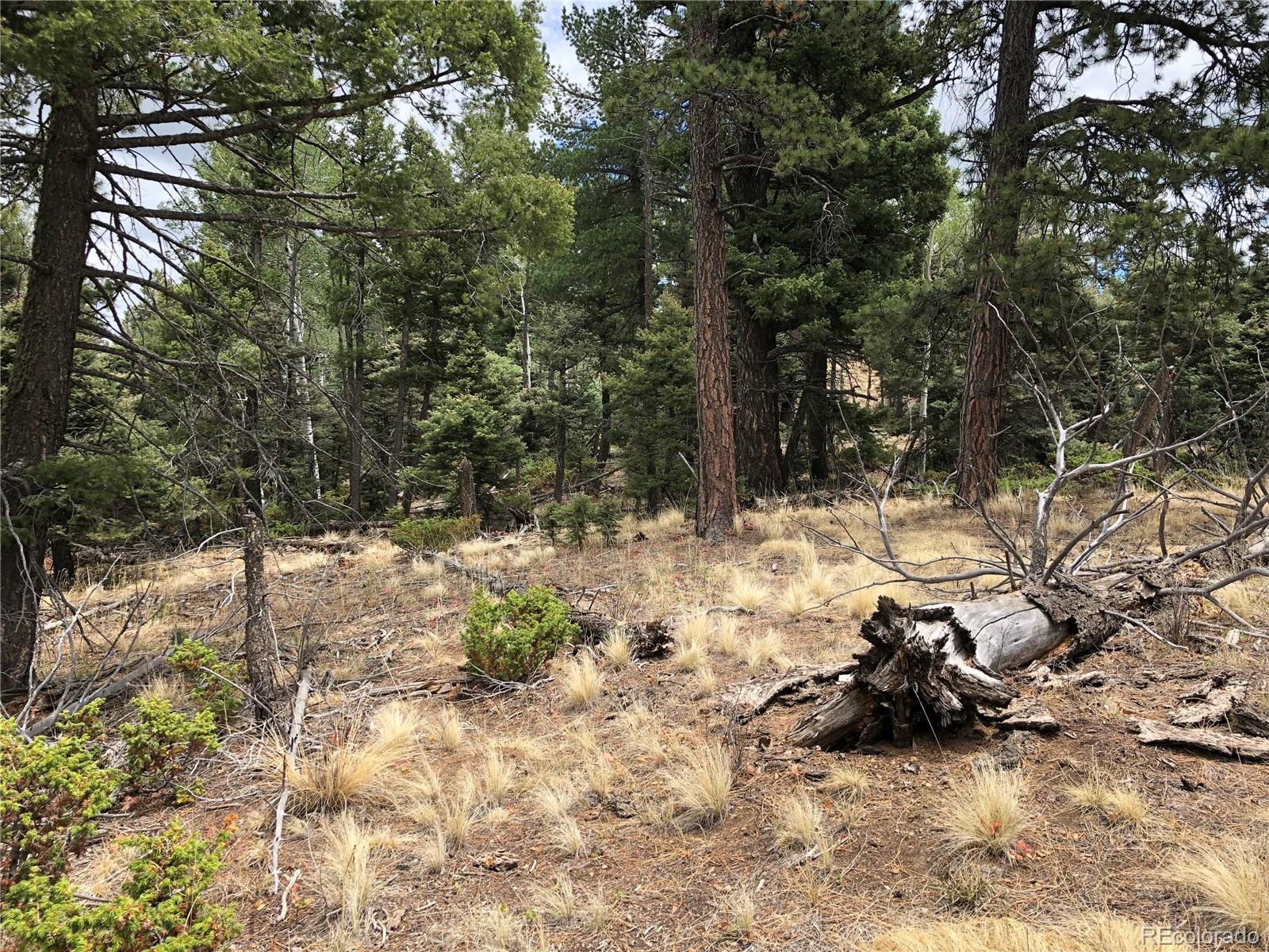 Lot 174 Ferris Place