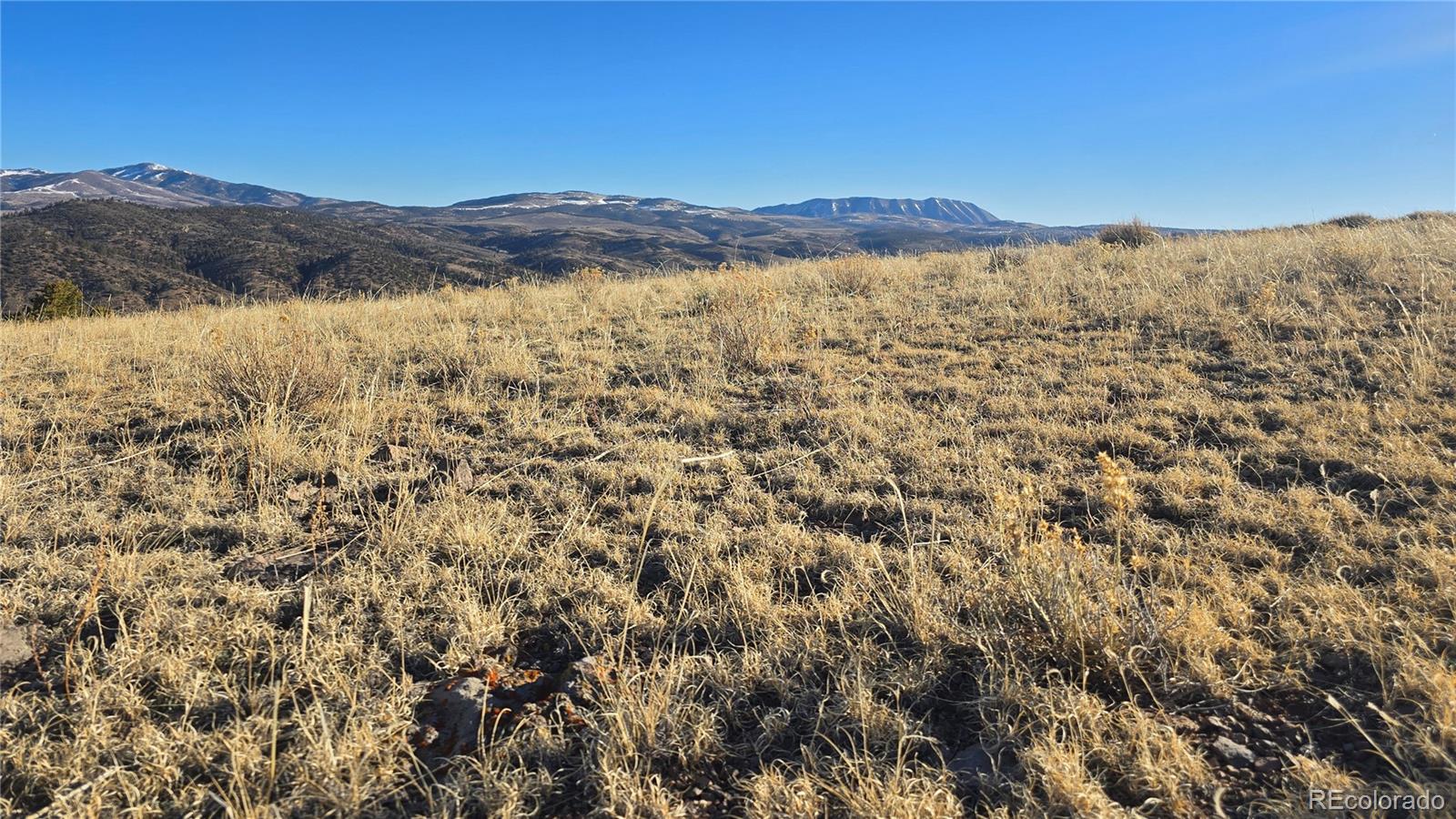 Lot 4902 Jaffe Road
