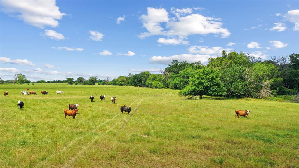 Set just one hour from Dallas, this extraordinary 222-acre ranch offers the rare opportunity to own an exceptional piece of Texas countryside. Towering Grand Oaks, lush coastal Bermuda pastures, and multiple breathtaking homesites create the perfect setting for a legacy estate, weekend retreat, or premier ranch operation. The land features gently rolling terrain, four incredible ponds, and a meandering seasonal creek that enhances both the beauty and privacy of the property. Currently operating as an active cutting horse breeding and training facility, and working cattle ranch running 200 cow-calves, the improvements include a 12-stall barn, 140ft round pen, 50ft breaking pen, 120ft square pen, and the original one bedroom one bath ranch bunkhouse. Whether you're seeking a full-time residence, weekend escape, luxury equestrian estate, recreational ranch, or investment opportunity, this incredible property offers the space, beauty, and freedom to bring your vision to life. Conveniently located with easy interstate access, shopping and dining nearby, and just 75 miles from DFW International Airport.