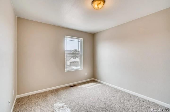 13374 Blue Amber Court