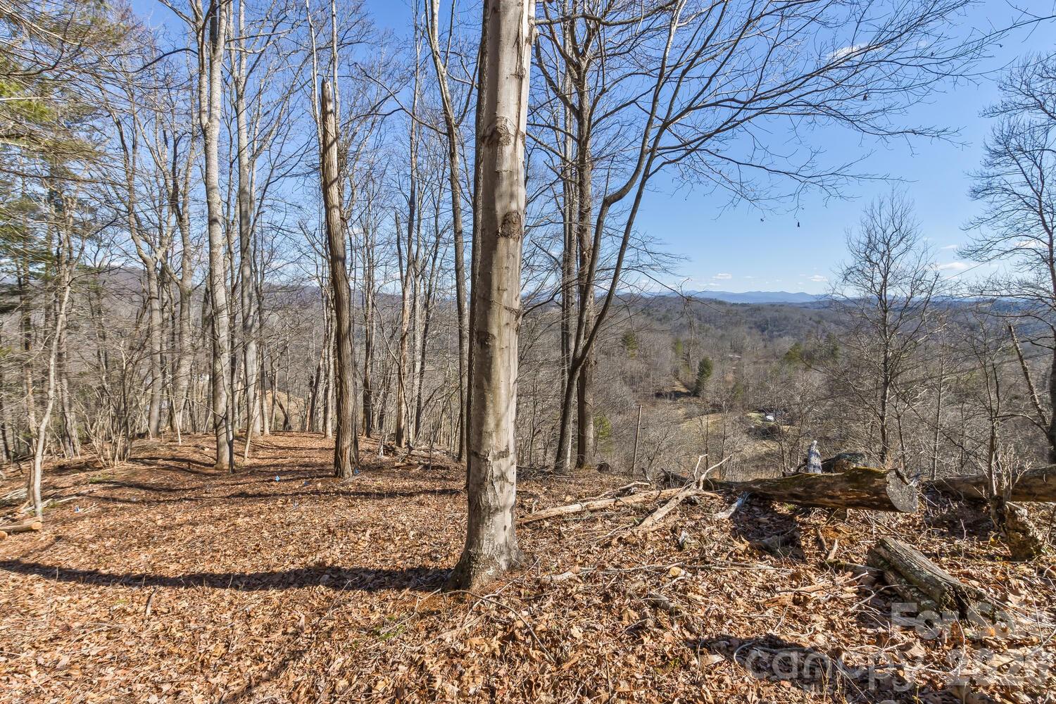 99999 Anderson Branch