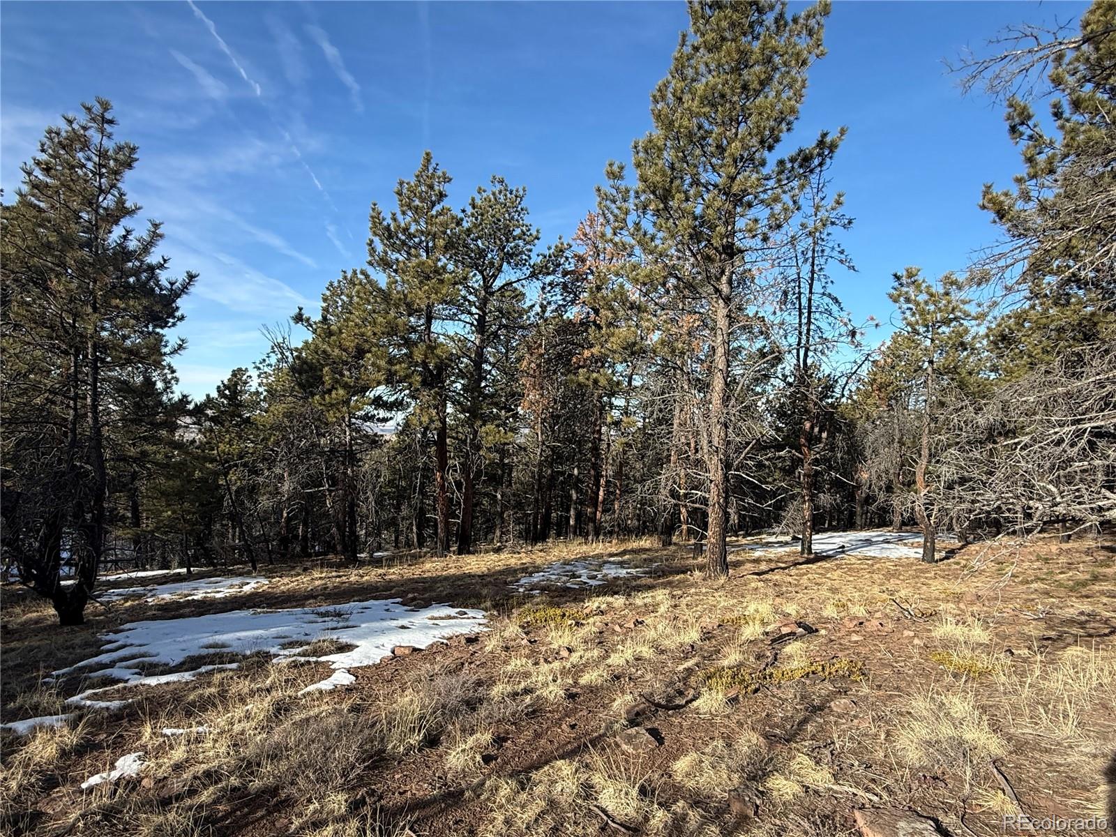 Lot 356 Spangle Drive