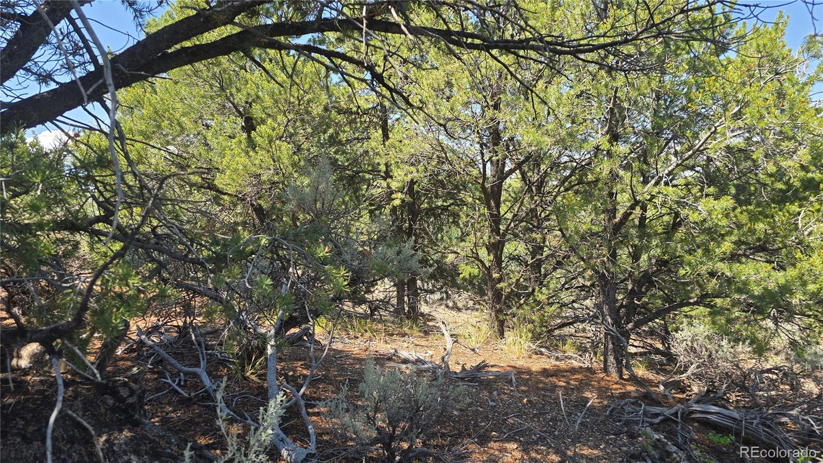 Lot 1615 Dunn Road