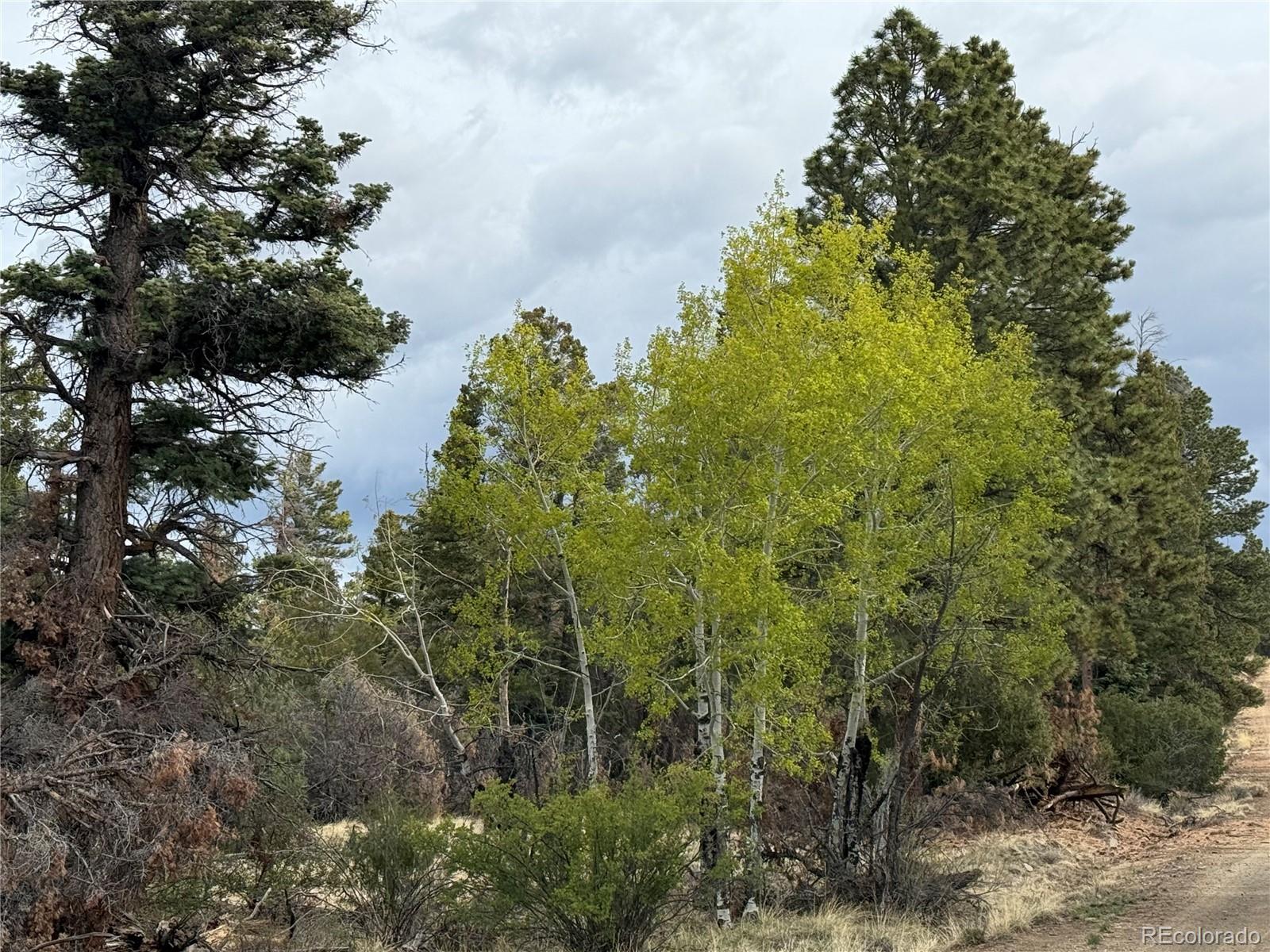 Lot 154 Tahmoush Lane