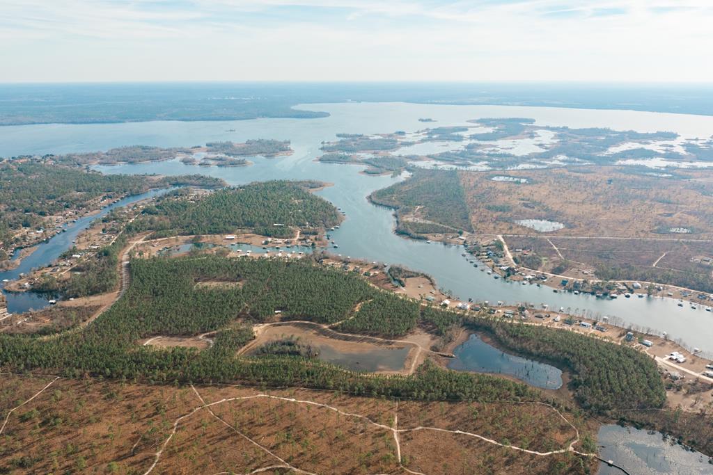 Opportunities like this don't come around often. Bordering Seminole State Park and adjacent to Lake Seminole, Seminole Brakei s a 137 acre sporting property in one of Georgia's most sought-after recreational regions. With direct access to the renowned waterfowl flyway, a newly established plant-and-flood duck impoundment draws thousands of ducks from the lake, Chattahochee River and other area duck ponds. Water levels are maintained with a 6 inch well located on the property. A separate stocked fish pond adds to the property's sporting appeal, creating a well-rounded experience for the outdoorsman.    Predominantly high-quality pine timberland, the property is also a sanctuary for wildlife, offering excellent deer hunting in a protected habitat of dense pines and established cover. The balance of timber and water resources provides the perfect setting for a diverse mix of wildlife and year-round recreation.    Lake Seminole is one of the Southeast's premier sporting destinations. Consisting of approximately 38,000 acres and boasting 375 miles of shoreline, the trophy bass found in the lake is renowned within the professional bass fishing circuit and plays hosts to numerous tournaments.. The lake is formed by the confluence of two rivers, the Flint and Chattahoochee. The sheer expanse of these waterways create one of the most prolific waterfowl flyways in the Southeast.  Properties of this size and quality, with direct connectivity to thousands of acres of state-managed conservation lands and Lake Seminole, are exceedingly rare. Seminole Brake is a true sporting retreat, offering an unmatched combination of prime hunting, investment potential and legacy ownership in one of Georgia's premier outdoor destinations.