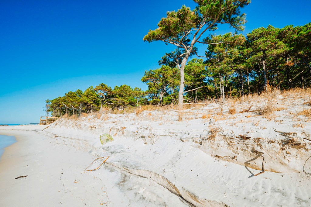Lot # 2 Elliotts Creek Ln 2
