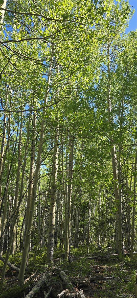 Lot 6708 Debbie Road