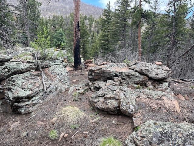 Lot 513 Leslie Loop