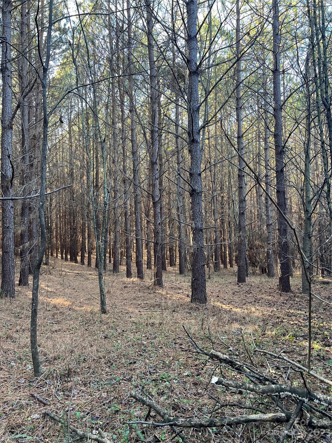 678 Turnersburg Highway