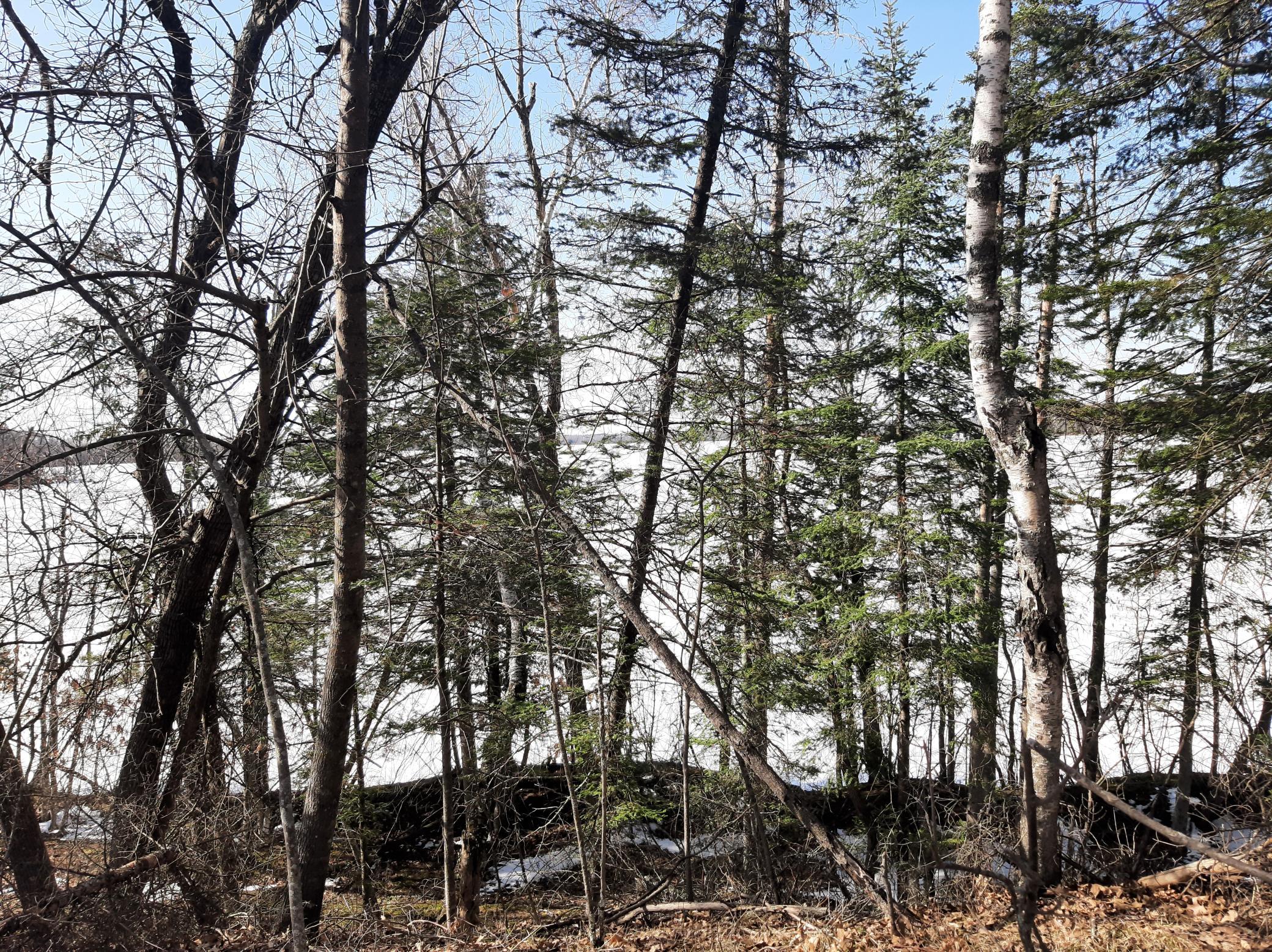 TBD Washburn Bay Trail NE