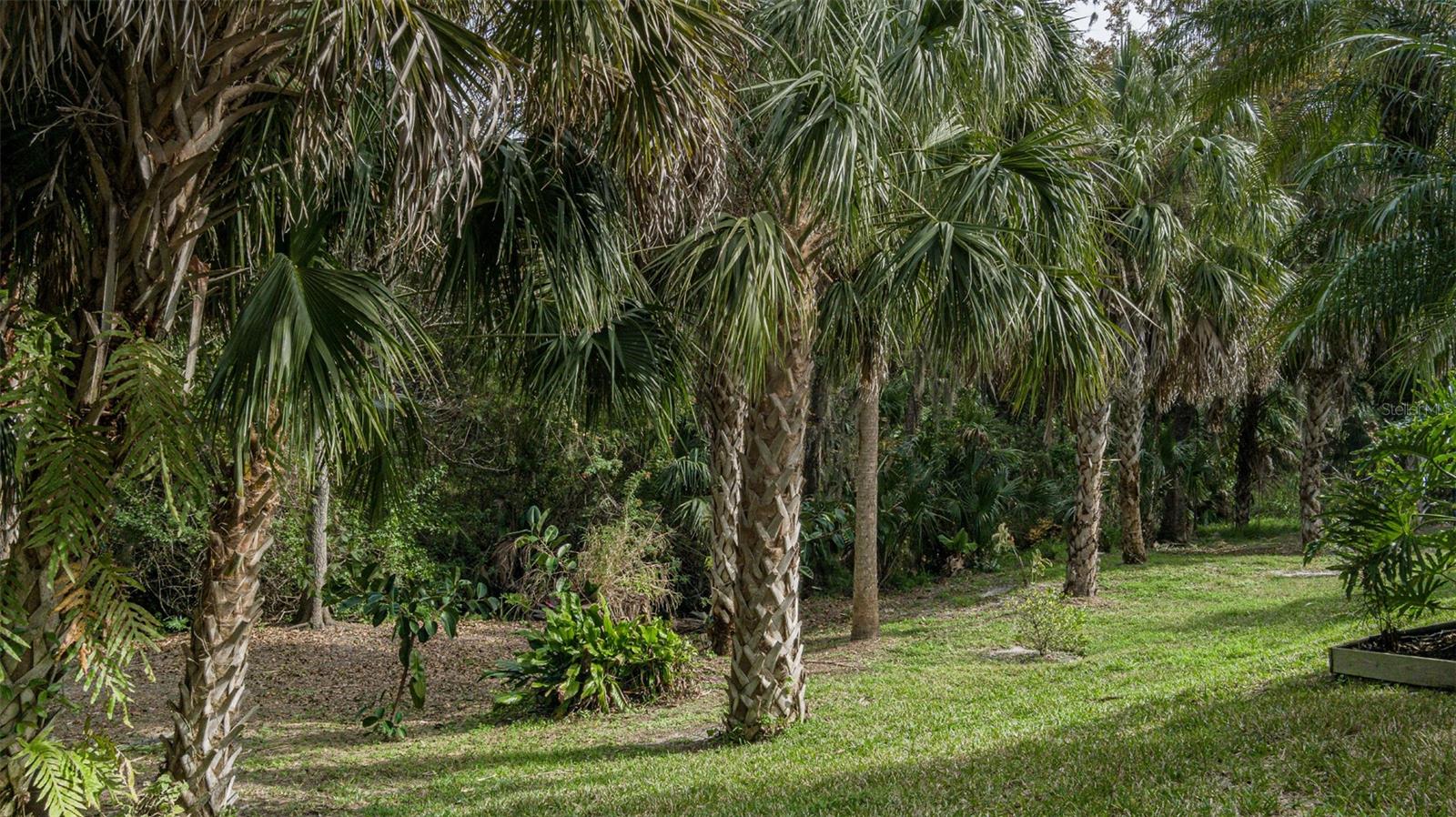 11434 Savannah Lakes Drive