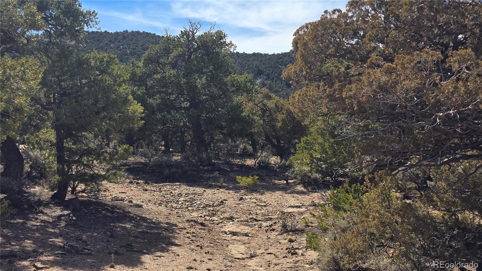 Lot 409 Williams Road