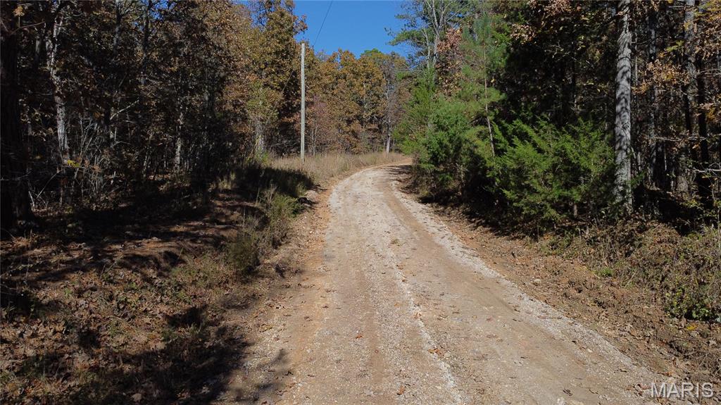 10256 Christina Trail