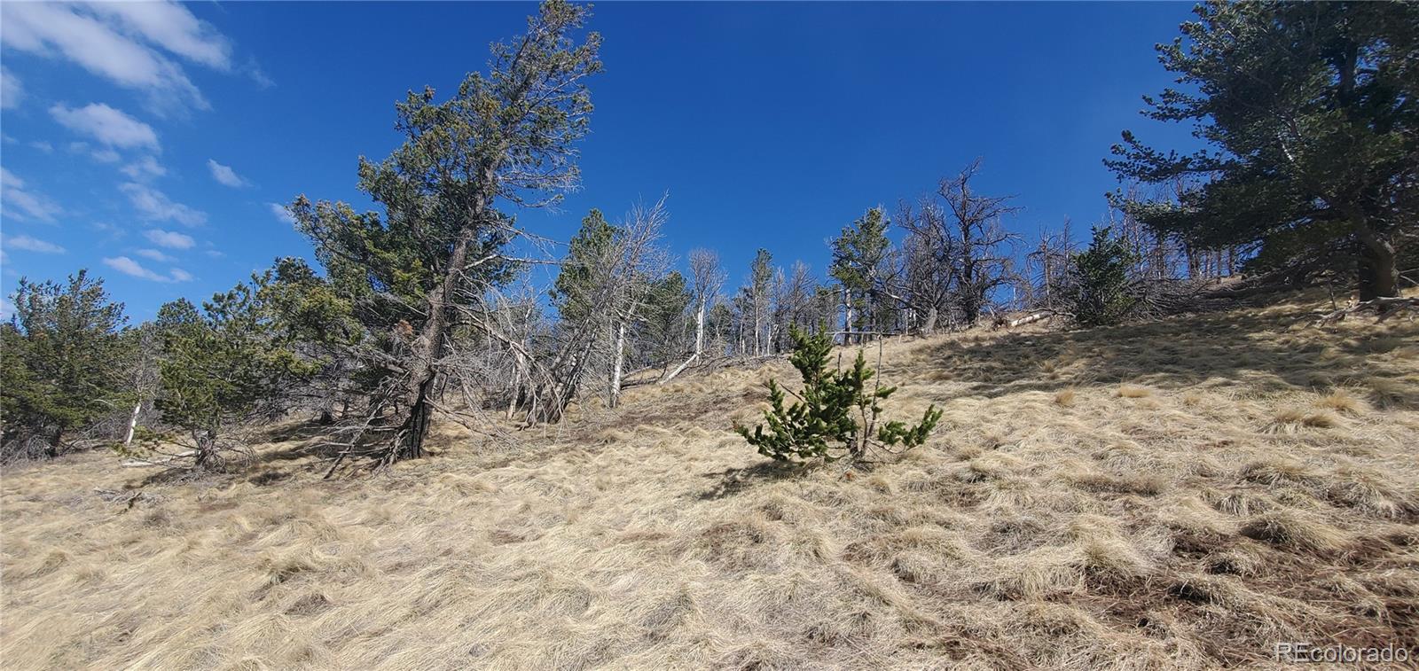 Lot 2740 Newman Place