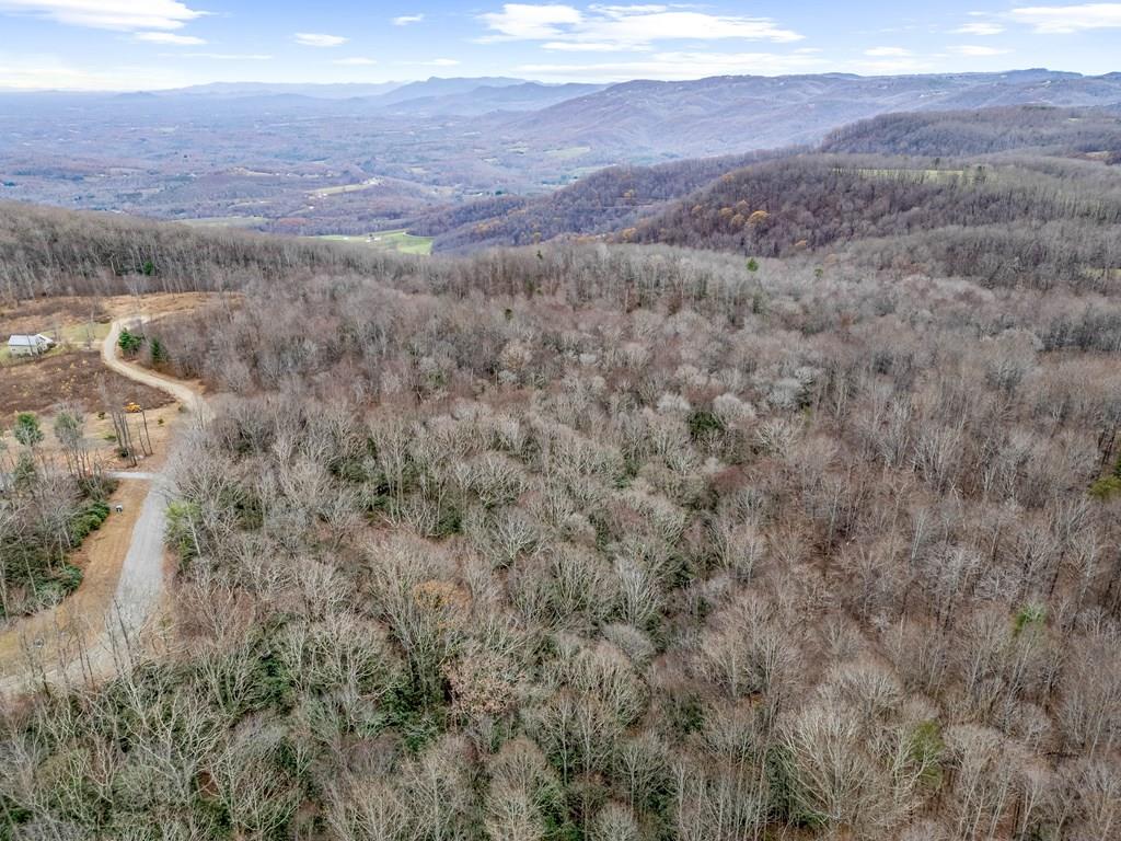Nestled in the serene beauty of Ararat, VA, this 2.5-acre lot offers a rare opportunity to own a piece of tranquility in a private, sought-after community. Situated off the iconic Blue Ridge Parkway, this property boasts stunning south-facing views, perfect for taking in breathtaking sunrises and sunsets over the surrounding mountains. With a gently rolling landscape, the lot is an ideal canvas for building your dream home or vacation retreat, offering plenty of space for privacy, outdoor living, and future development. The peaceful setting is enhanced by the natural beauty of the area, providing easy access to hiking, wildlife viewing, and the unparalleled beauty of the Blue Ridge Mountains. Local towns include Floyd, Meadows of Dan, Fancy Gap, Hillsville, and Galax. Events are plentiful and regularly occurring throughout the area. Call today to experience mountain living at its finest!