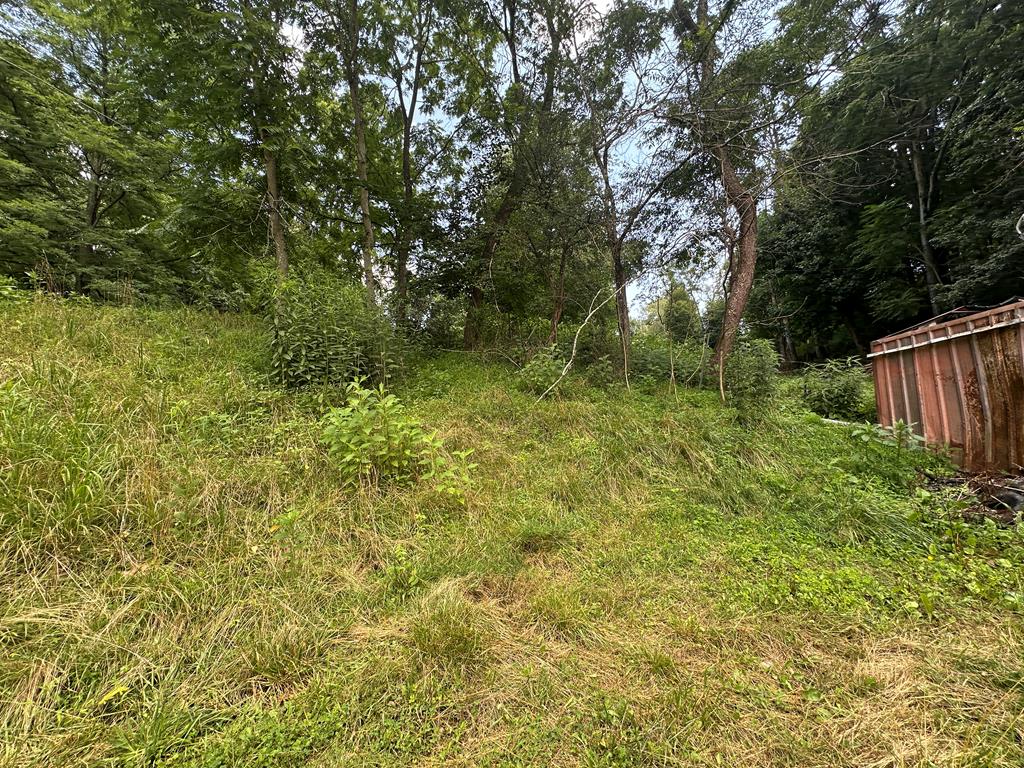 Looking to build your dream home in a peaceful setting? This country piece of land is ready for you! Located in an established area, this lot offers public water and septic already in place, saving you time and money when you're ready to build. Enjoy the convenience of nearby town amenities while still soaking in the quiet, country atmosphere. Whether you're planning a primary residence, weekend retreat, or investment property, this land is full of potential. Don't miss your chance to own a piece of Chilhowie—schedule a showing today!