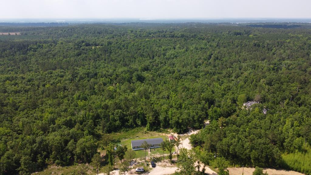 Big Buck Country. 30 Acres with 2 mobile homes. This property features 2 mobile homes, one of which is a 2018 Scotbuilt with a sq ft of 2128 and a 2008 Fleetwood with sq ft of 1248   .  This property is well known for frequenting large deer, turkey, and other wild game.     The Mobile homes are on a shared well and cosmetic repairs are being made on the 2008 which include new flooring.    This area is close to the Florida state line and is in close proximity to the nearby cities of Tallahassee, Florida, and Bainbridge, Georgia.   There is a recent survey on the property, and there are no restrictions or conservation programs on this land.   24 hr notice APPOINTMENT ONLY