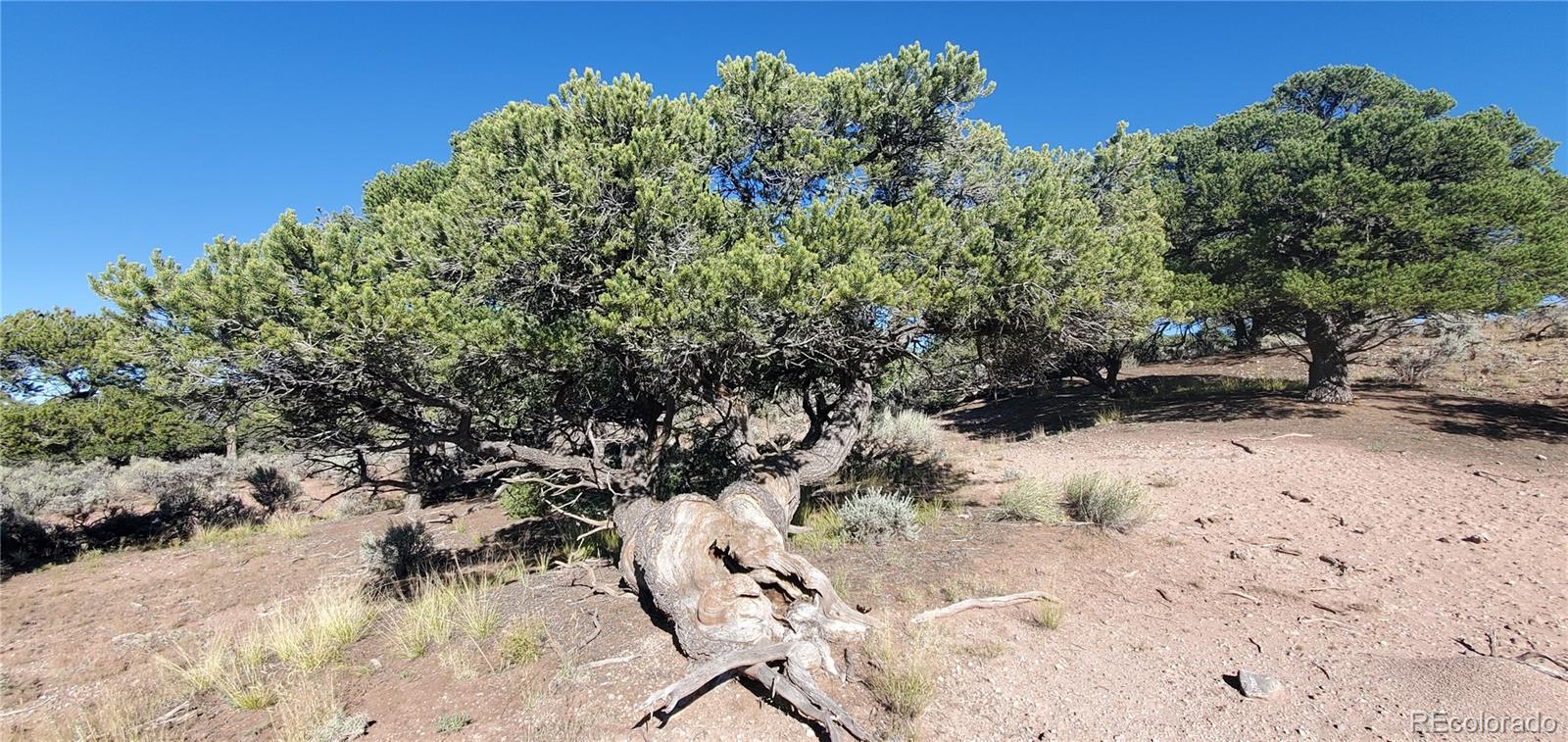 Lot 3475 Mitchell Road