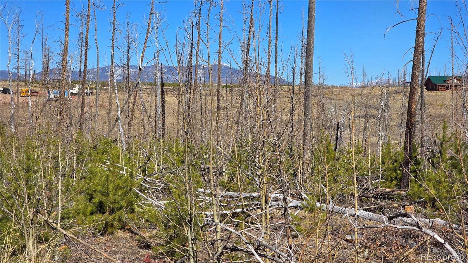 Lot 1460 Von Heyl Lane