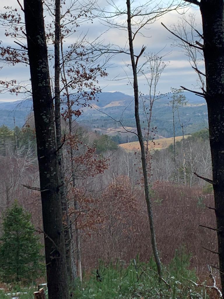 Land for sale in Galax, Virginia, 77413
