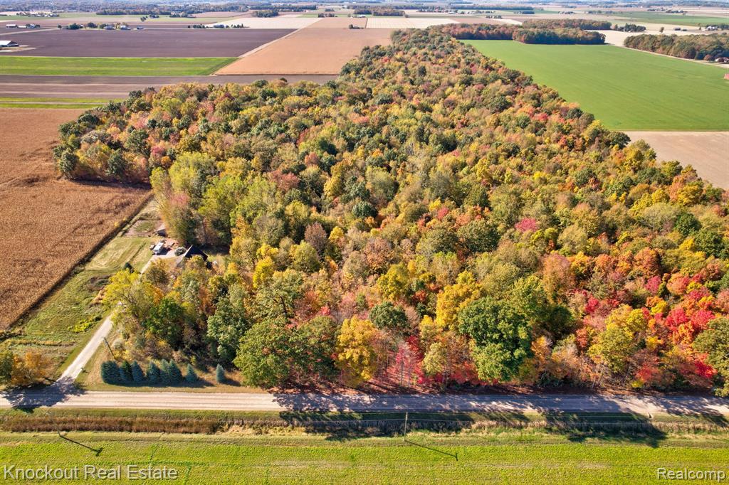 More rare than a Bigfoot sighting! This 6.6 wooded acre parcel is a spectacular potential building site for your new home in Frankenmuth schools, just 5 minutes E of downtown. This unique, flat parcel is bordered by woods and is the perfect blend of peaceful, country living, close to amenities. Abundant nature and wildlife surrounds you- seize the chance to own your piece of paradise.