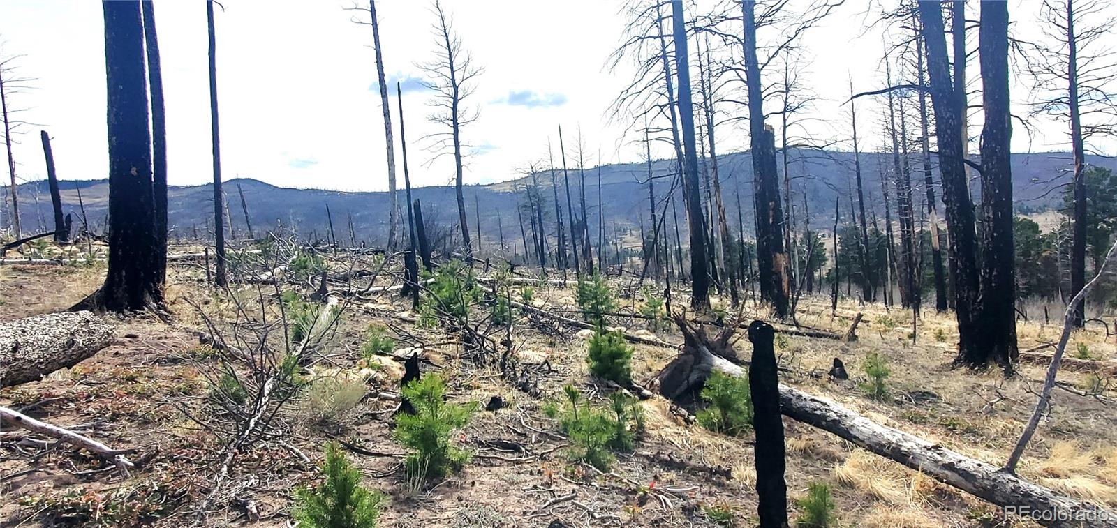 Lot 1224 Emery Loop