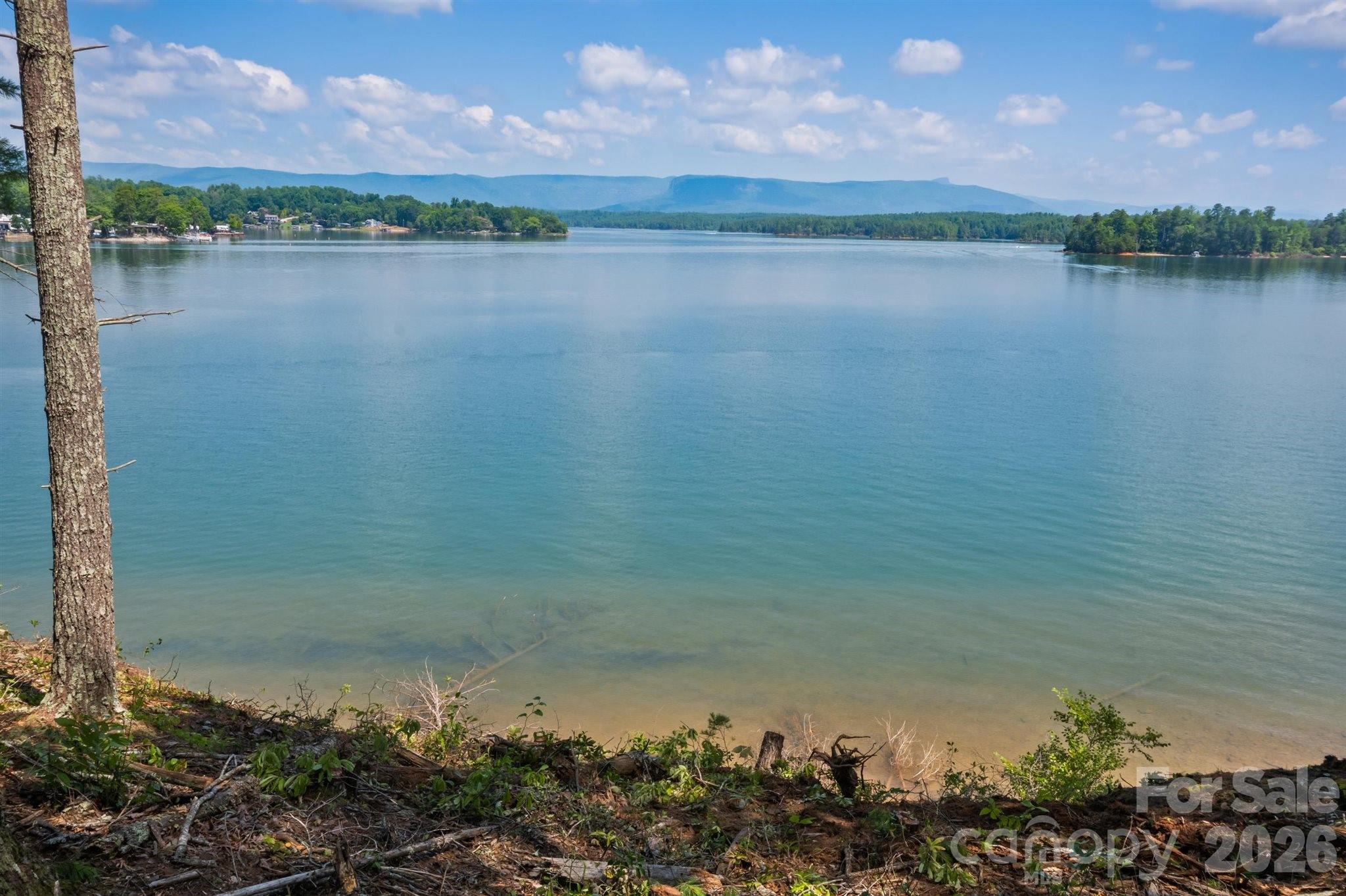 People spend a lifetime searching for views like these. Build the luxury lakefront retreat you've always envisioned on one of the most exceptional homesites available on Lake James. Situated on 1.50 partially cleared acres, this rare waterfront property offers over 200 feet of shoreline, breathtaking long-range water and mountain views, and a gentle, level private building site that's ready for your custom dream home. Imagine enjoying sunsets from your future lakeside terrace, relaxing from your custom dock, or spending the day boating, paddleboarding, and swimming on one of North Carolina's most sought-after lakes. With county water available, a 4-bedroom septic approval, and no HOA, you'll have the freedom to create an extraordinary lakefront estate tailored to your lifestyle. Whether you're searching for a full-time residence or an unforgettable vacation getaway, opportunities like this are incredibly rare. Exceptional views, generous shoreline, a level build site, and one of Lake James' most desirable locations—this is luxury waterfront living at its finest. Don't miss your chance to own one of the last premier waterfront lots on Lake James.