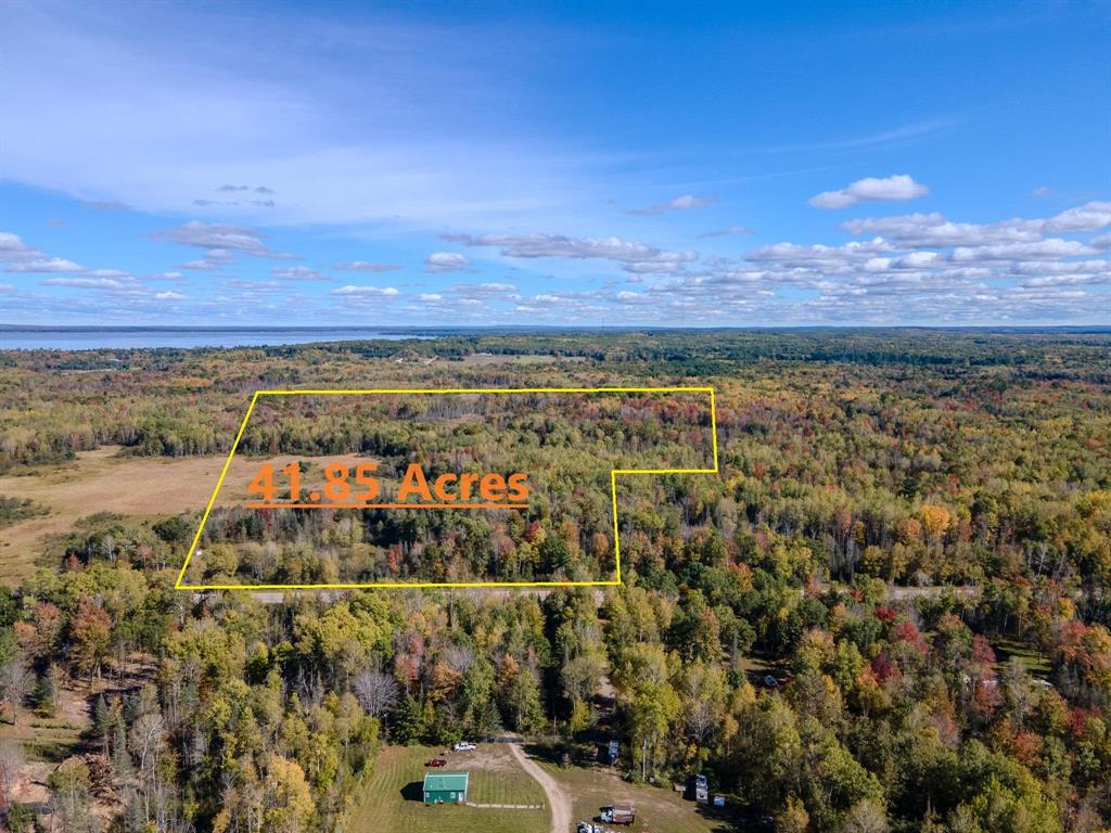 Prime Hunting Land! Property is made up of mixed woods and lowlands to make the perfect habitat for all Northern Michigan wildlife.