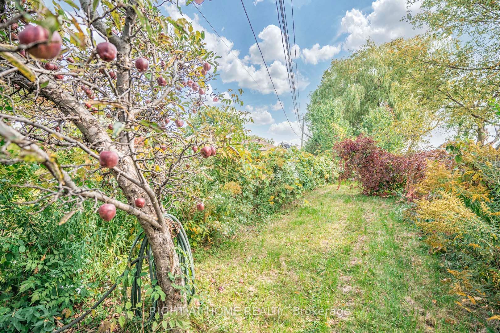 1149 Birchmount Rd