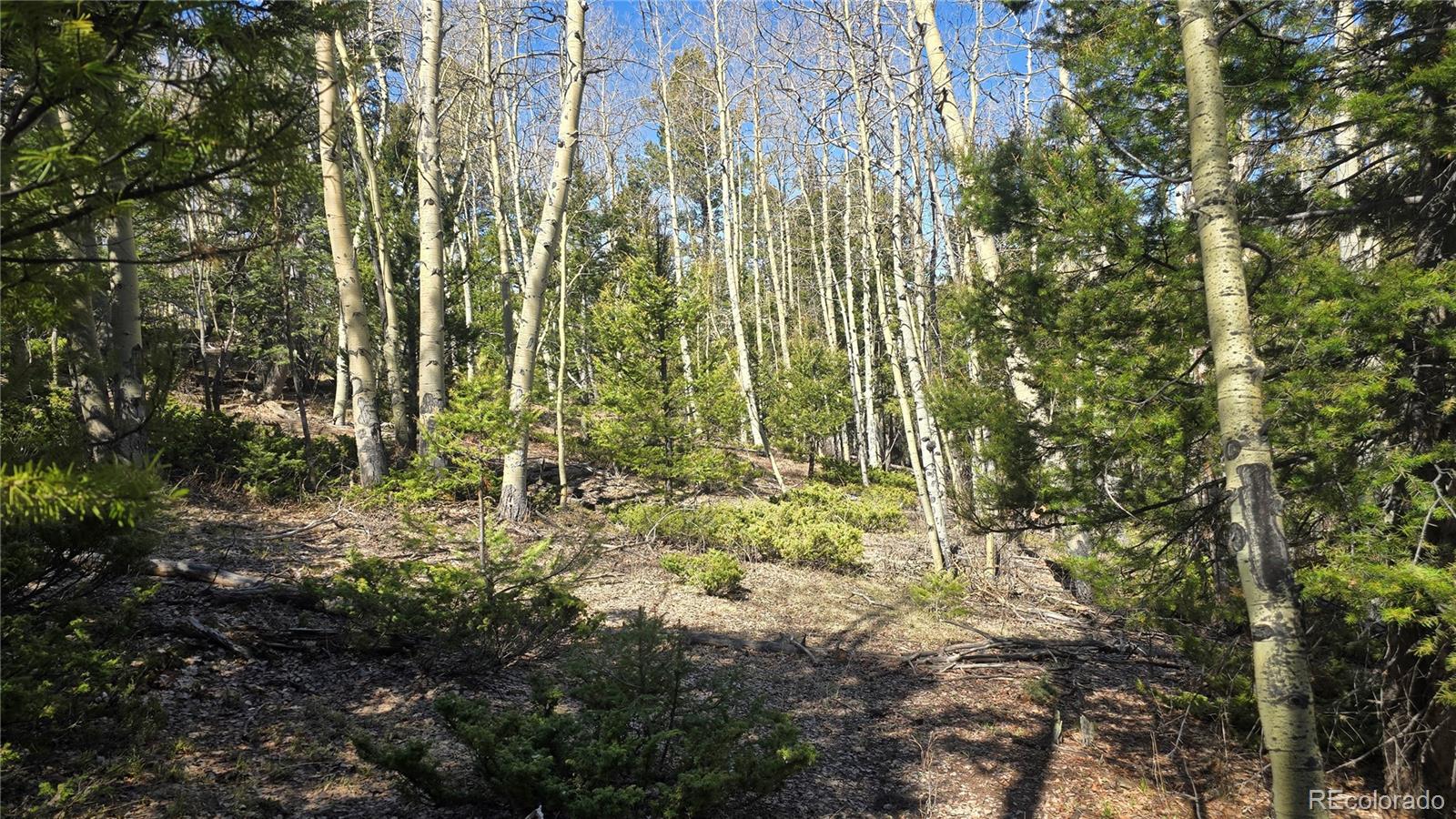 Lot 6708 Debbie Road