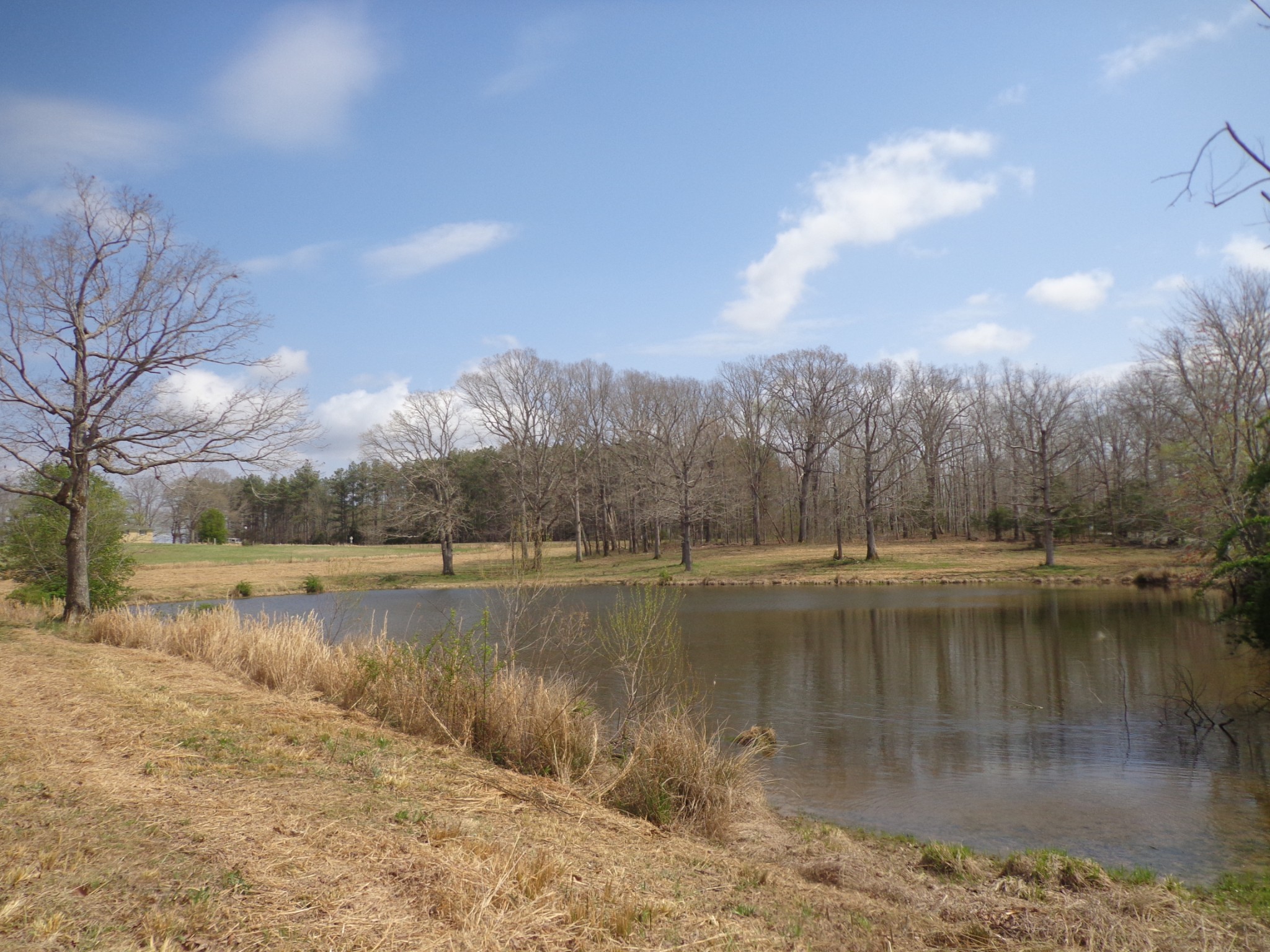 1551 Tennessee Ridge Road