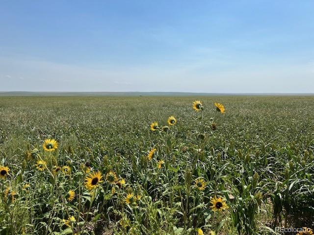 Looking for a large, income producing farm? This one is 14,282+ deeded acres!! It mainly consists of dryland farm land that grows wheat and millet. Multiple roads boarding the property have electric along them. It backs up to Little Muddy State Land Trust. The farm also qualifies for the Land Owner Preference Tags for hunting both Trophy Mule deer and Antelope. It is located in Colorado Big Game Unit 99. It’s about an hour drive from Downtown Denver to the east edge of the property.

NO SEWER ON PROPERTY.