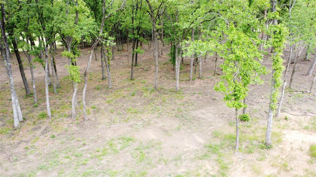 1210 Buck Trail