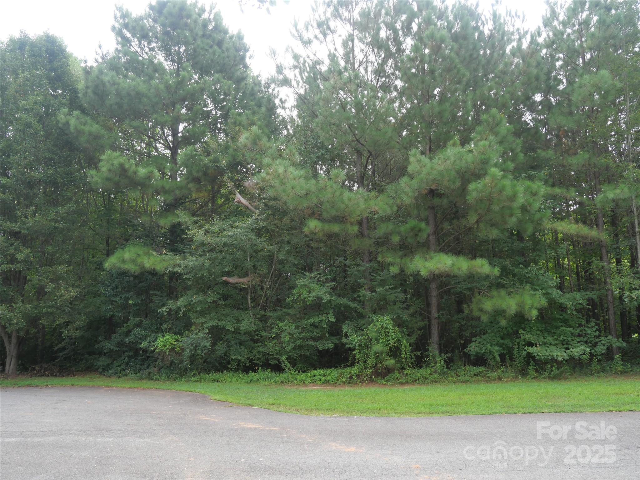 Welcome to 1832 Jaya Drive, nestled in the peaceful cul-de-sac of White Dove Estates Subdivision in Sherrills Ford, NC! Picture your dream home on this serene 0.51-acre basement lot, where tranquility and community come together in perfect harmony. Imagine waking up to the gentle rustle of leaves and the soft songs of nature just outside your window. This lovely lot offers a fantastic opportunity to build a home tailored to your needs, all while enjoying the safety and camaraderie of a friendly neighborhood. With ample space for your vision, you can create a cozy retreat. You’ll also love the nearby amenities and access to beautiful Lake Norman, where weekends can be filled with lots of activities. Embrace the chance to become part of a welcoming community where your dreams can unfold.