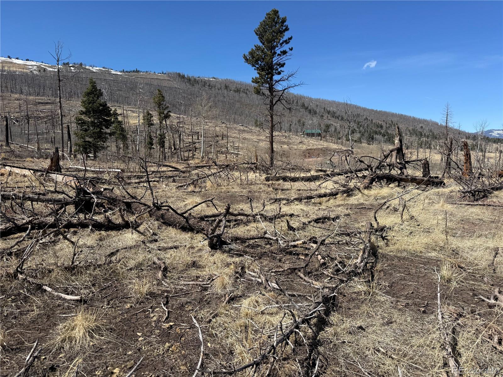 Lot 999 Foy Place