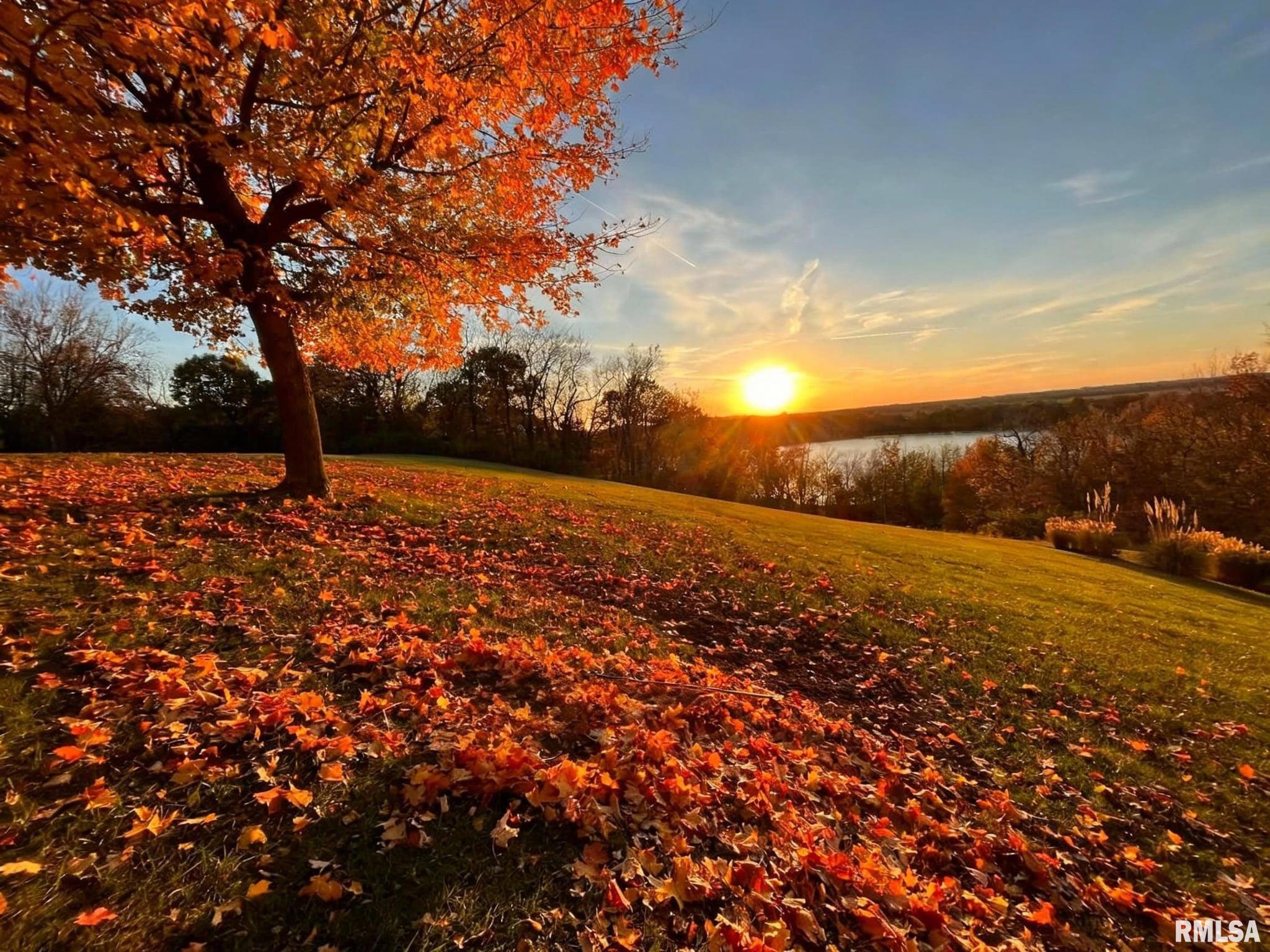 3937 Musholt Strasse Lane