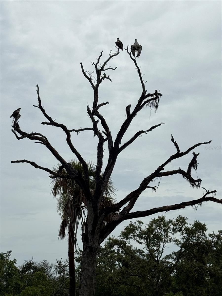 912 Piney Point Road