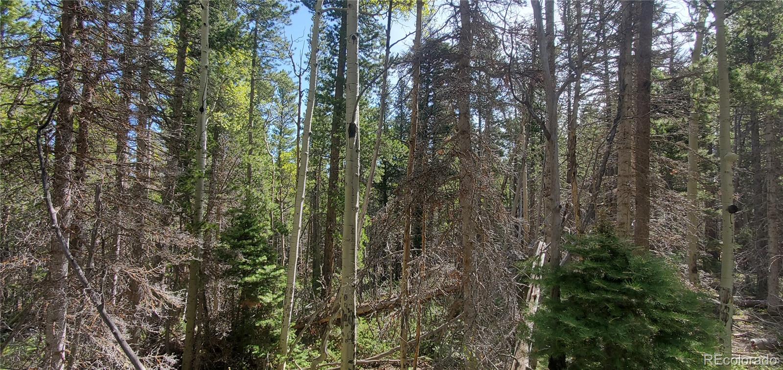 Lot 3031 Bolwell Lane