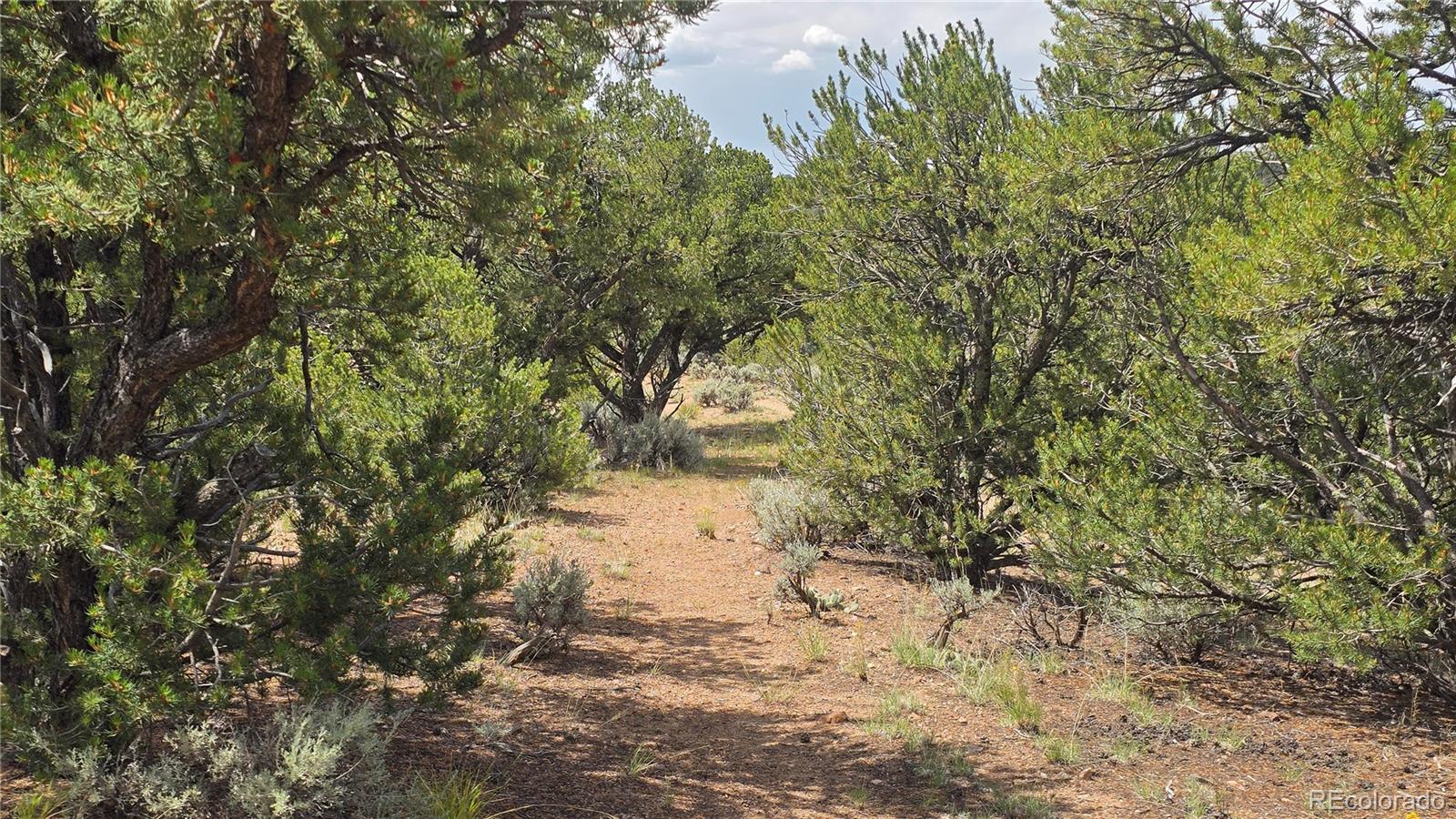 Lot 4435 Beekman Road