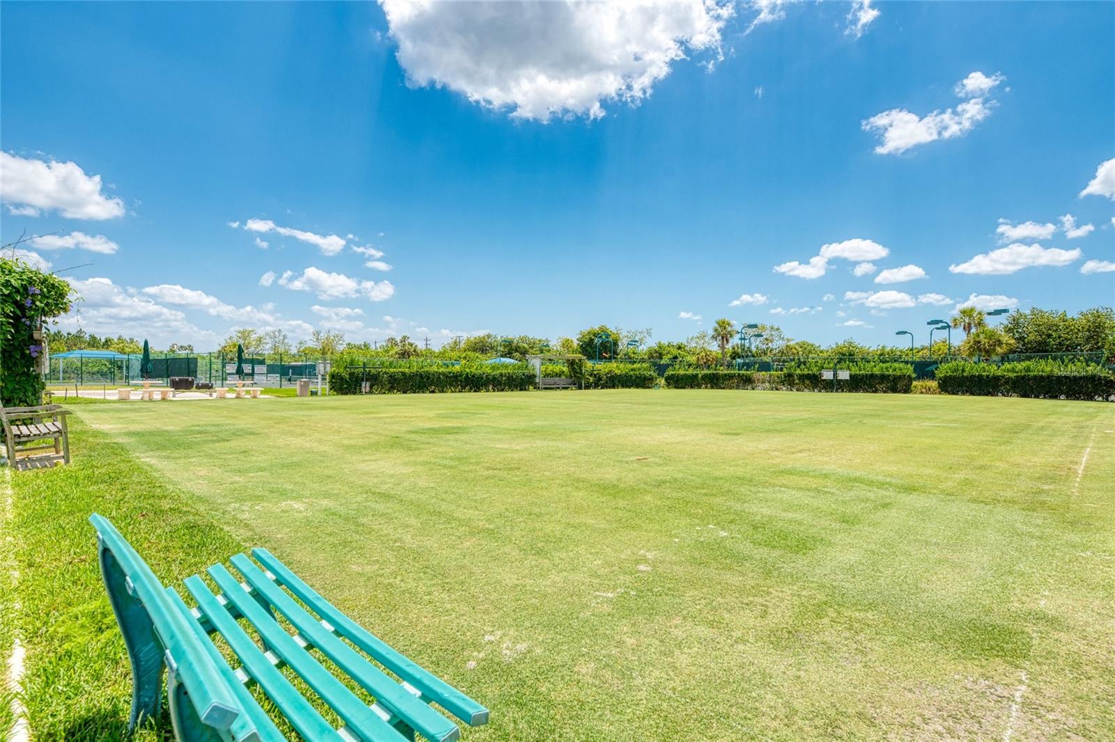 13025 Cedar Creek Drive