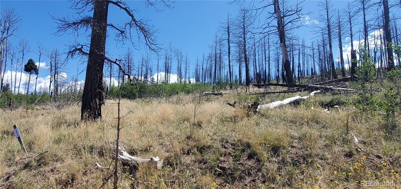 Lot 1064 Reed Lane