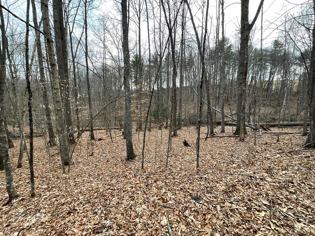 Private, wooded building lot offers a beautiful building site nestled in the trees. This half acre tract is in a nice neighborhood just outside the town of Hillsville. Close and convenient to Schools , shopping and recreation facilities.