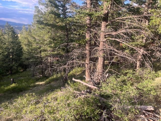Lot 4630 Spring Road