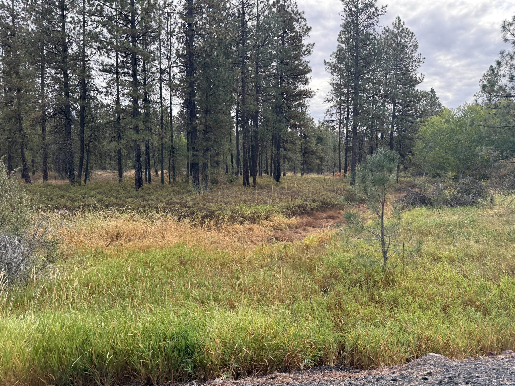 17xxx S Malloy Prairie Rd